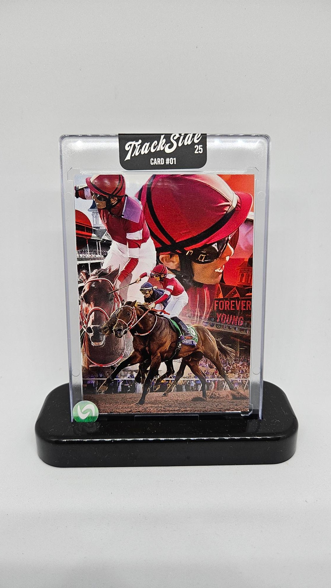 Forever Young - Breeders Cup Classic 2025 win