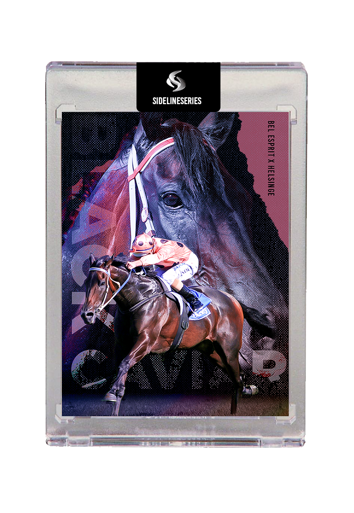 Artist Signed - Black Caviar HOLOFOIL - Limited to 5