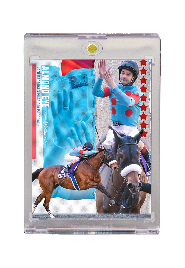 Almond Eye X Christophe Lemaire