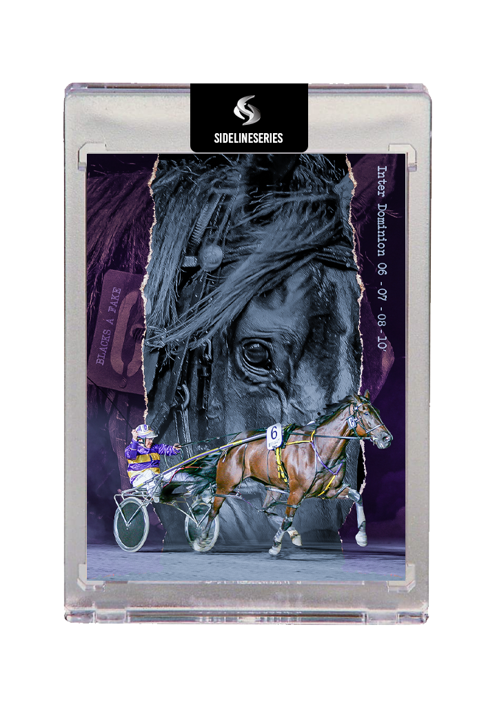Harness Racing Edition #1 Blacks A Fake
