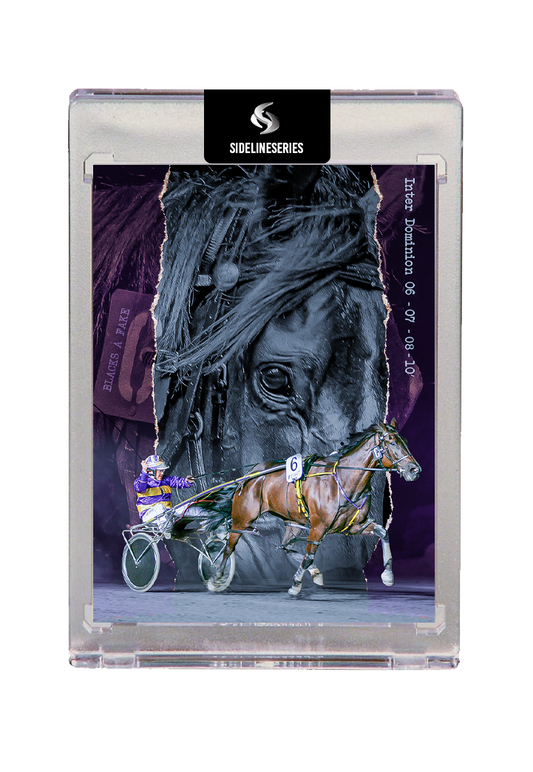 Harness Racing Edition #1 Blacks A Fake