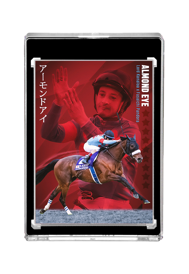 Almond Eye X Christophe Lemaire AUTO edition