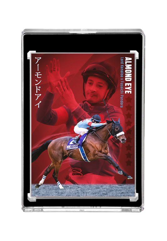 Almond Eye X Christophe Lemaire AUTO edition